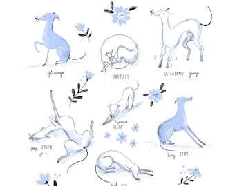 Poster illustrativo STAMPABILE del levriero, levriero italiano, Whippet, stampa d'arte Sighthound