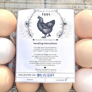 Instructiekaarten voor het hanteren van eieren, kaart voor verse eieren van de boerderij, label op de doos met kippeneieren, kaart voor het hanteren van eieren, verzorging van ongewassen eieren, afdrukbare eierdoos