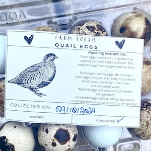 Tarjetas de instrucciones para el manejo de huevos de codorniz frescos, etiquetas para cartones de huevos de codorniz, tarjeta para huevos sin lavar, etiquetas de fecha para huevos, etiqueta imprimible para cartones de huevos.