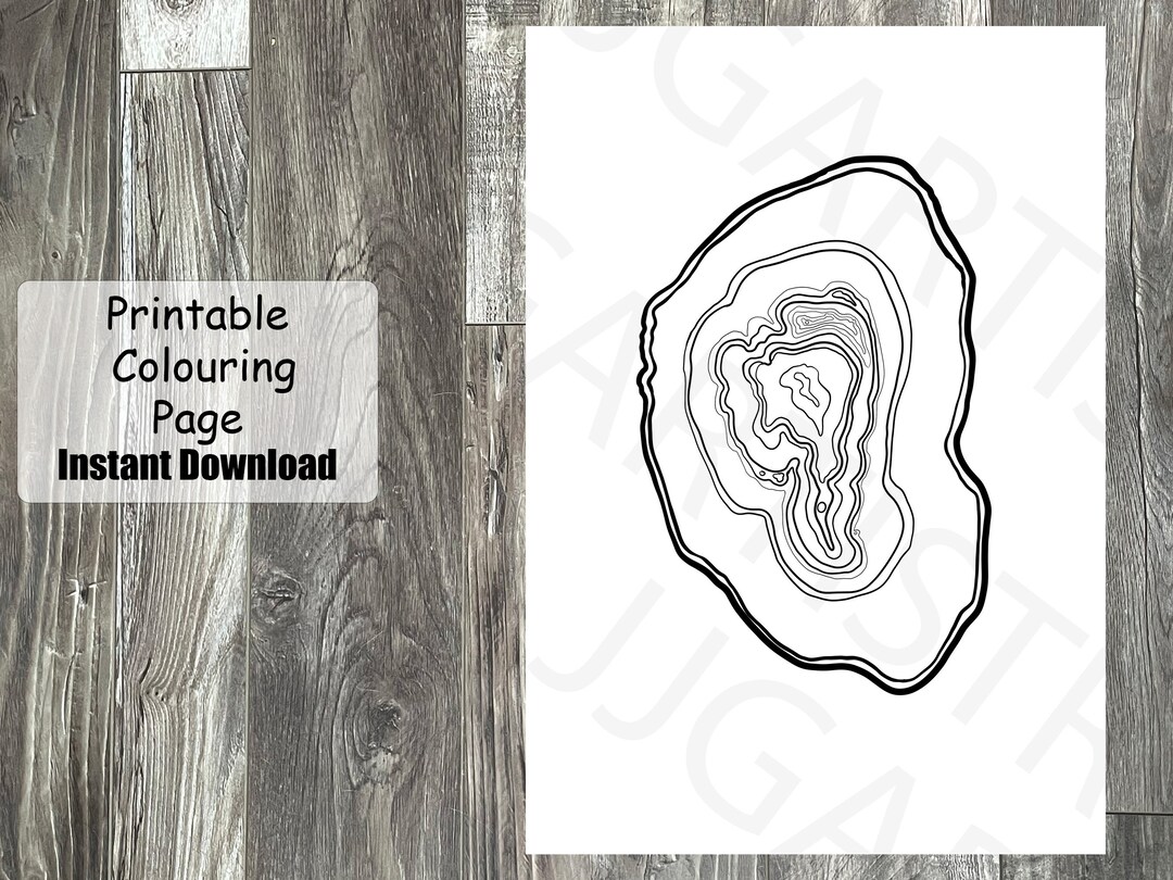 Geode Coloring Page Crystal Coloring Page for Adults - Etsy Finland