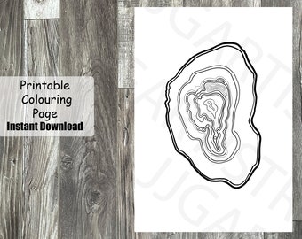 Geode Coloring Page, Crystal Coloring page for adults printable, healing crystals gift for friend, agate gift for artist, meditation