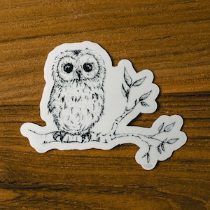 Transparent Baby Owl Sticker | Hand Drawn Owl Sticker | Clear Decal | Laptop Owl Sticker | Water Bottle Sticker | Fall Sticker