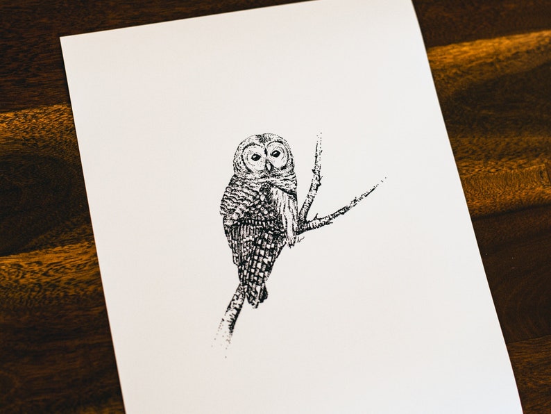 May include: A black and white line drawing of an owl perched on a branch. The owl is facing forward with its eyes closed.