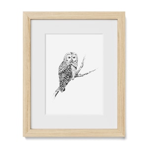 Hand-Drawn Barred Owl Art Print: Rustic Woodland Decor image 1