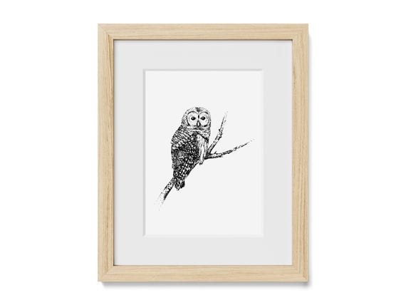 Hand-Drawn Barred Owl Art Print: Rustic Woodland Decor