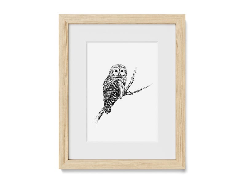 Hand-Drawn Barred Owl Art Print: Rustic Woodland Decor image 1