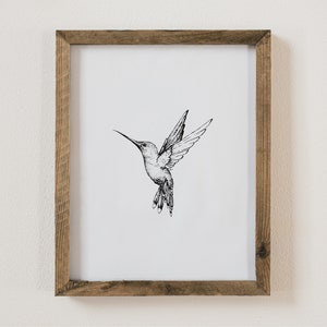 Hand-Drawn Hummingbird Art Print | Bird Wall Decor