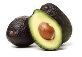 Lamb hass avocado tree- 2  feet tall - grafted tree - ship in 6" Pot