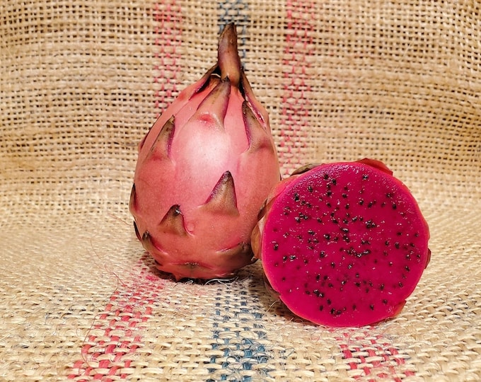 Tricia   Dragon Fruit   - 1 to 2 Feet Tall - Ship in 6" Pot