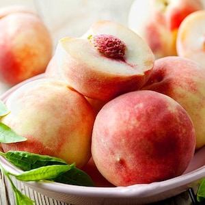 Peach Babcock - 3 to 4  feet tall - ship in 3Gal pot