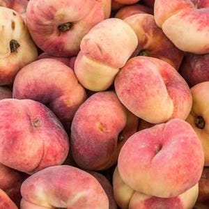 May include: A close-up of a pile of donut peaches, a variety of peach with a distinctive ring shape. The peaches are a mix of pink and yellow.