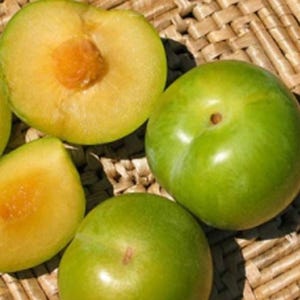 May include: Close-up of fresh green plums, some whole and some cut open to reveal the yellow flesh and pit. The plums are on a woven surface, showcasing the natural colors and textures of the fruit.