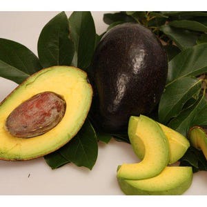 May include: A close-up of fresh avocados, one halved to reveal the seed and yellow flesh, with several slices and a whole avocado. Dark green leaves surround the fruit, creating a natural, healthy food theme.