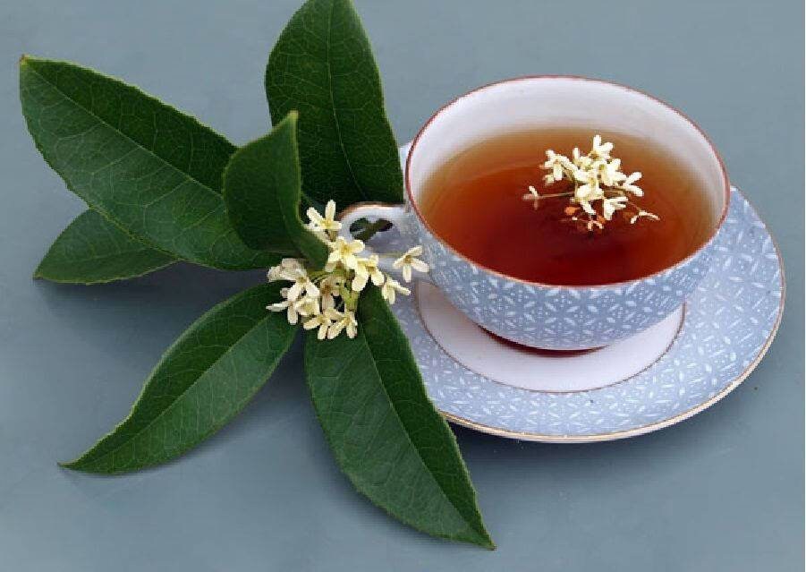Red Osmanthus С†РІРµС‚