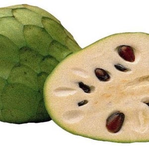 May include: A whole and a halved green cherimoya fruit with black seeds. The inside of the fruit is white and creamy.