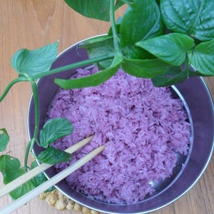 May include: A close-up of a bowl of purple sticky rice with chopsticks resting on the rim. A leafy green plant is growing over the bowl.