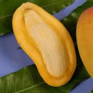 May include: A close-up of a halved mango, showcasing the yellow flesh and the large, light-colored seed. The mango is resting on green leaves, with a portion of another mango visible on the right side of the image.