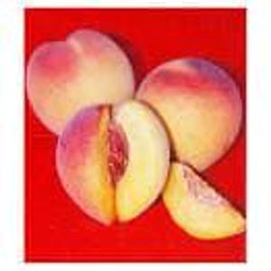 Peach &#39;red baron&#39; - 3 to 4  feet tall - ship in 3Gal pot