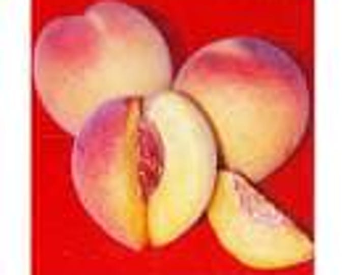 Peach 'red baron' - 3 to 4  feet tall - ship in 3Gal pot