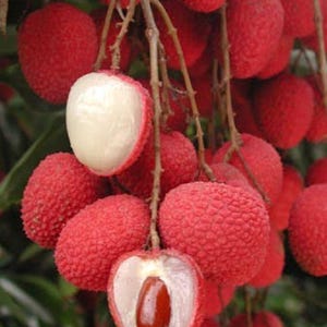 May include: A bunch of red lychees with some lychees cut open to show the white flesh and brown seed inside.