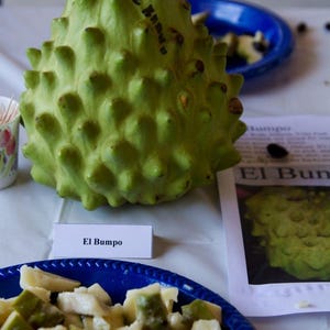 May include: A green spiky fruit called "El Bump" on a white surface with a blue plate of chopped fruit and a sign that says "El Bump" in black text.
