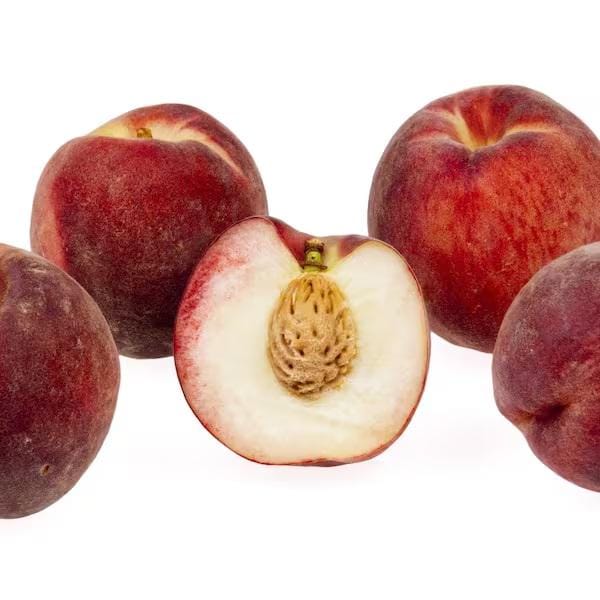 Nectarine Snow Queen - 2 to 3 feet tall - ship in 1 gal pot