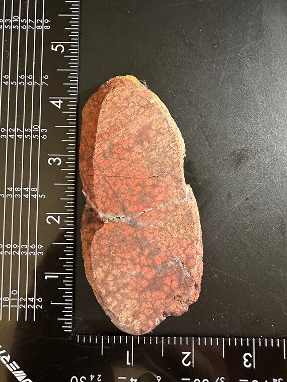 Lapidary Slab- Red Orbicular and Brecciated Jasper