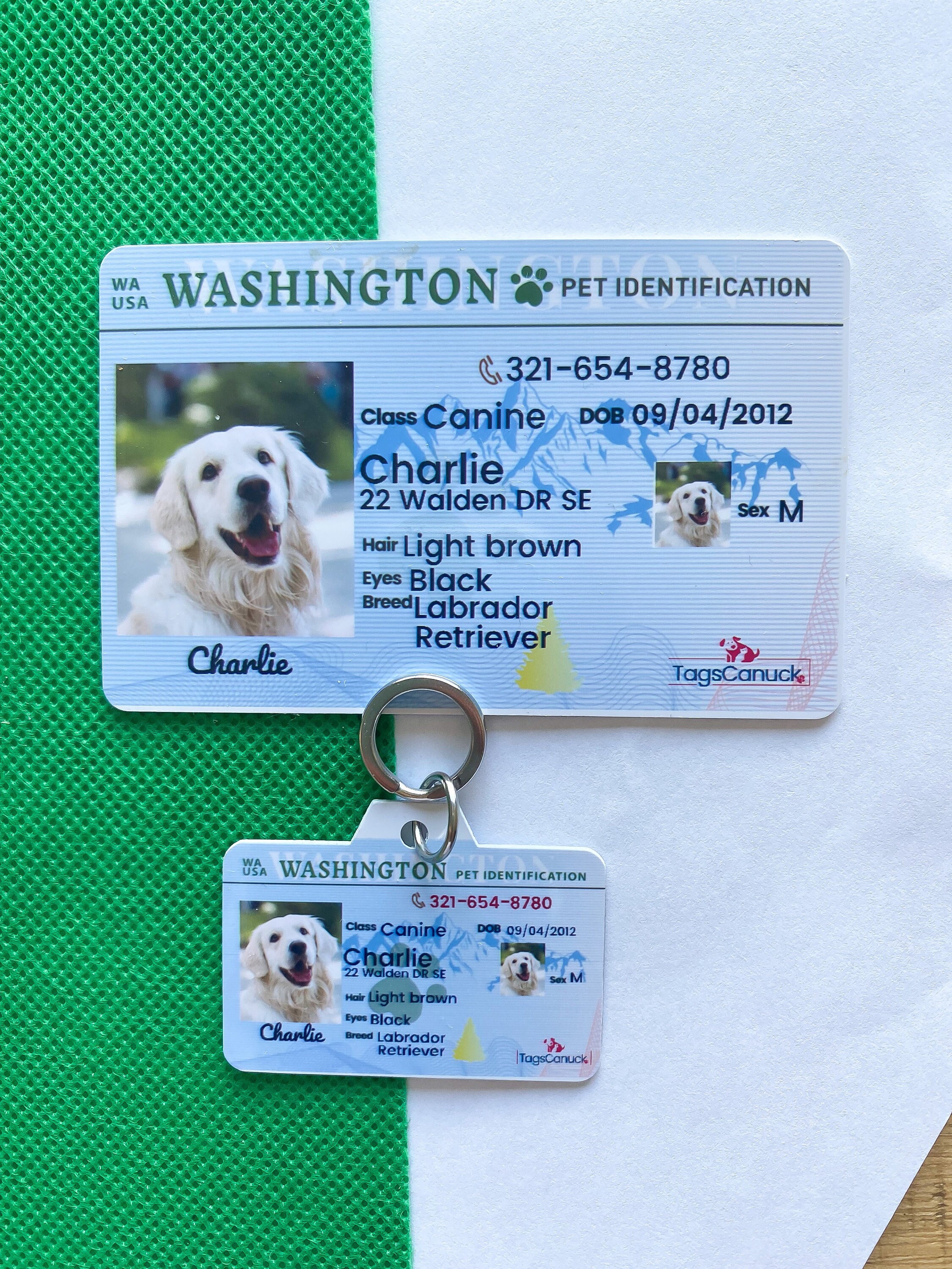 Pet Id Card Tags