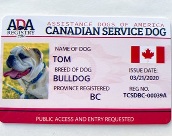 Service Dog Id Card Canada