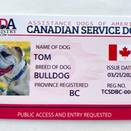 Service Dog Id Card Canada