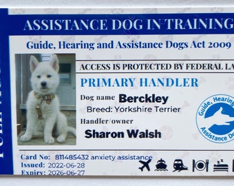 Service Dog Id Card Template