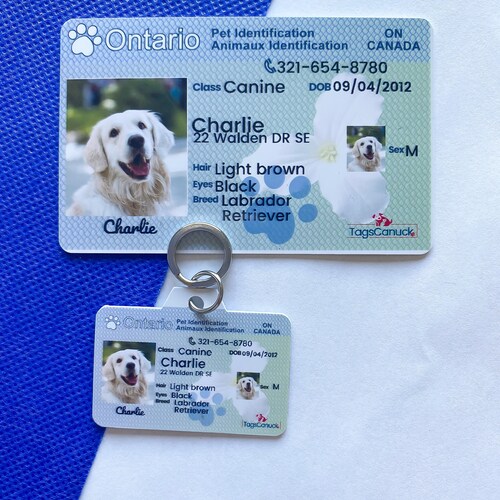 Pet Id Card Tags
