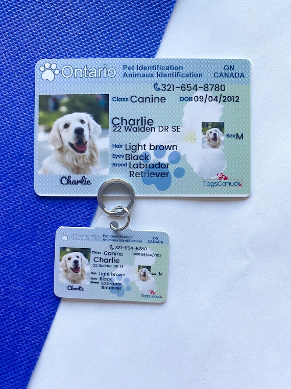 is a dog licence required in the uk