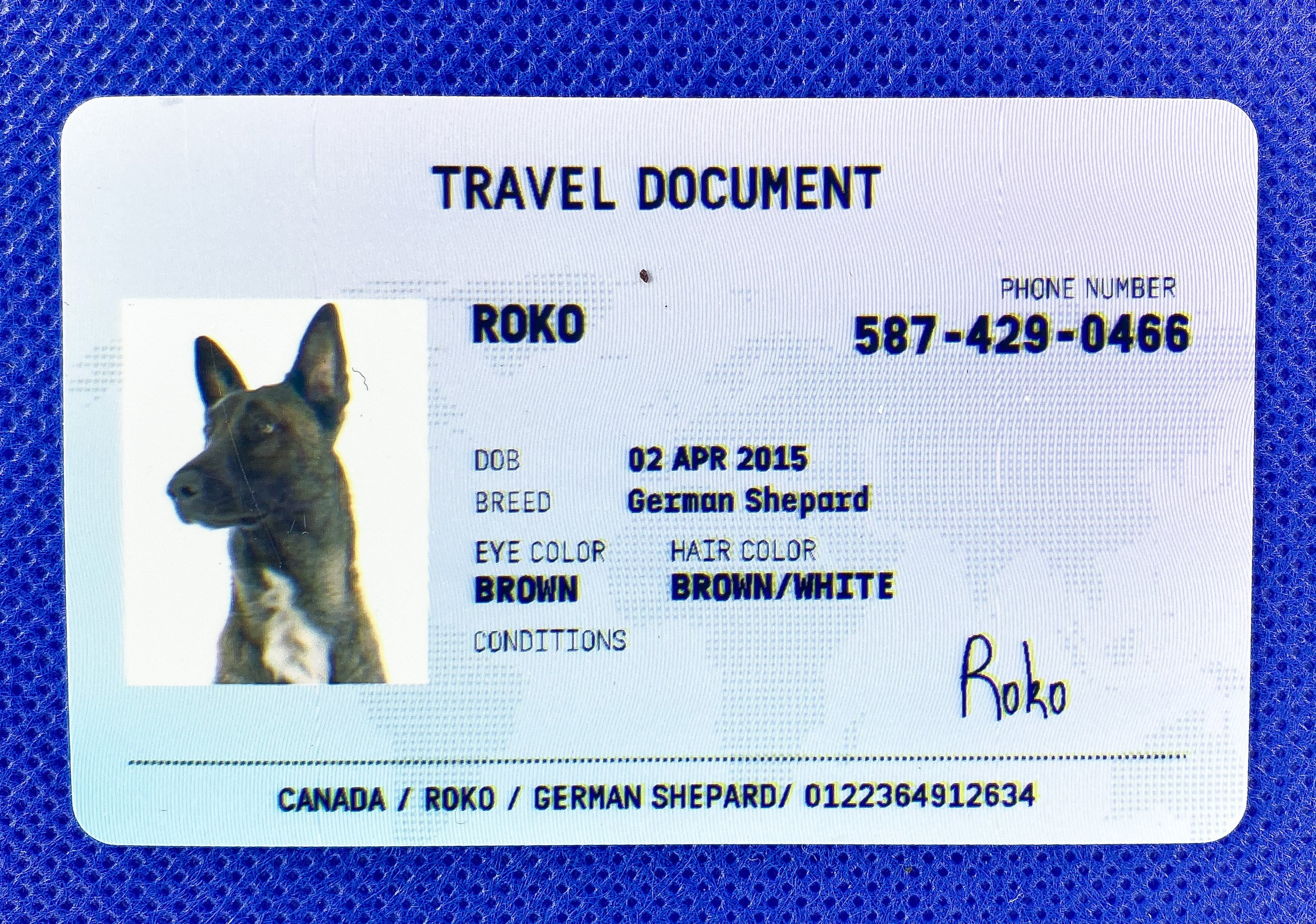 how much is a dog passport usa