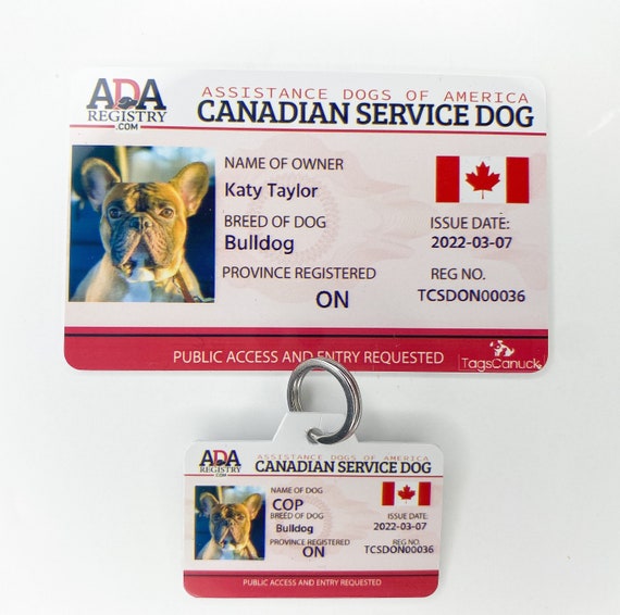 do-i-qualify-for-a-service-dog-canada