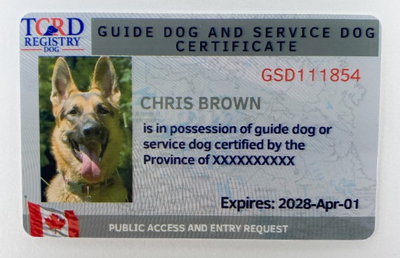 can-you-ask-for-proof-of-a-service-dog