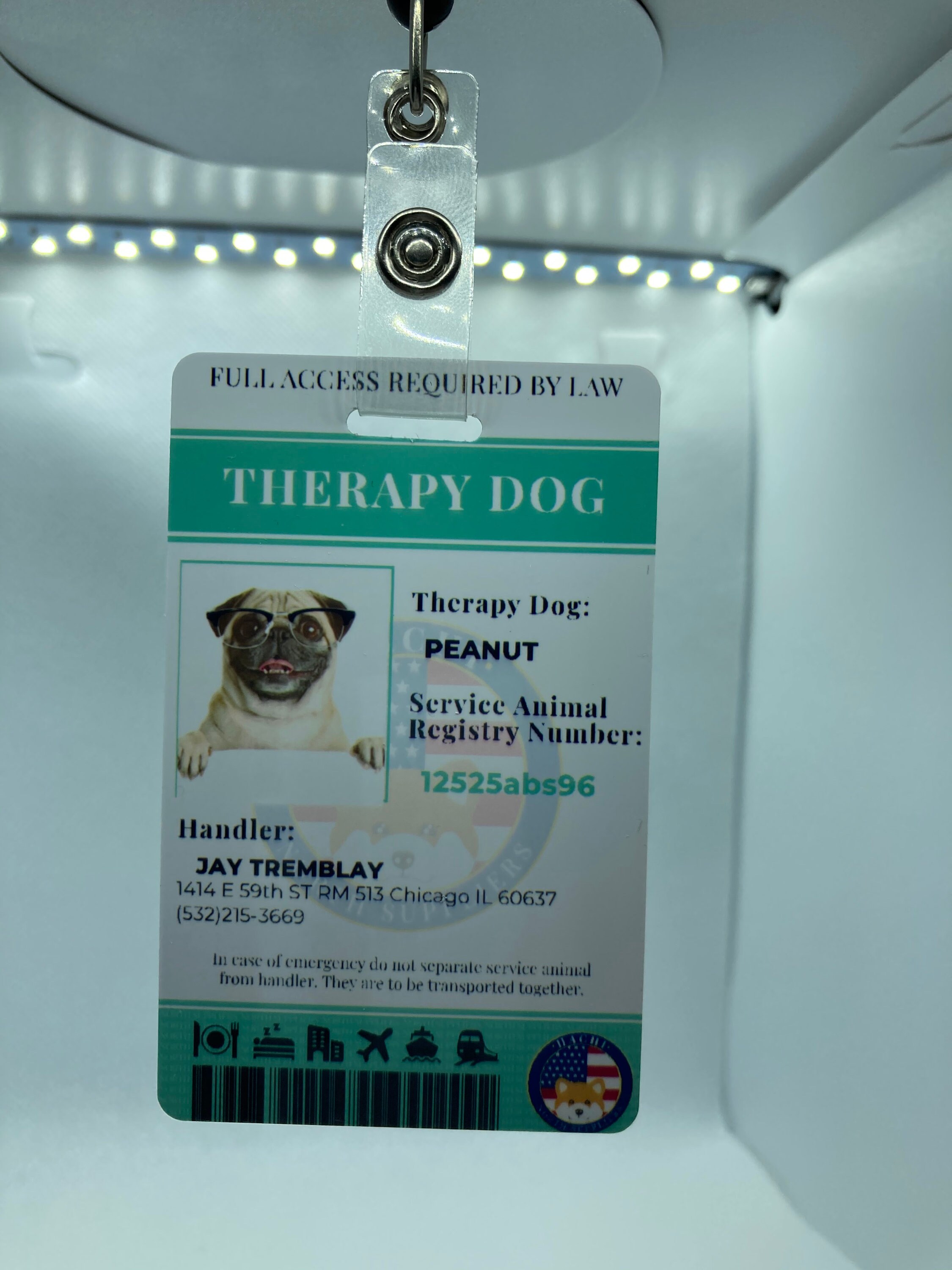 Therapy Dog Id Card Etsy