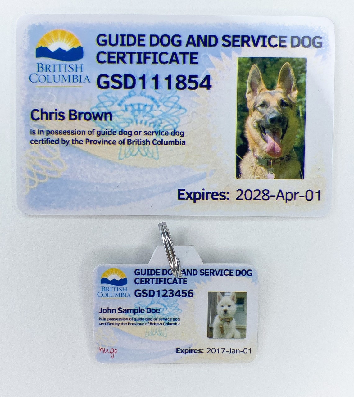 British Columbia Service Dog ID and Guide Dog Certificate Etsy Canada