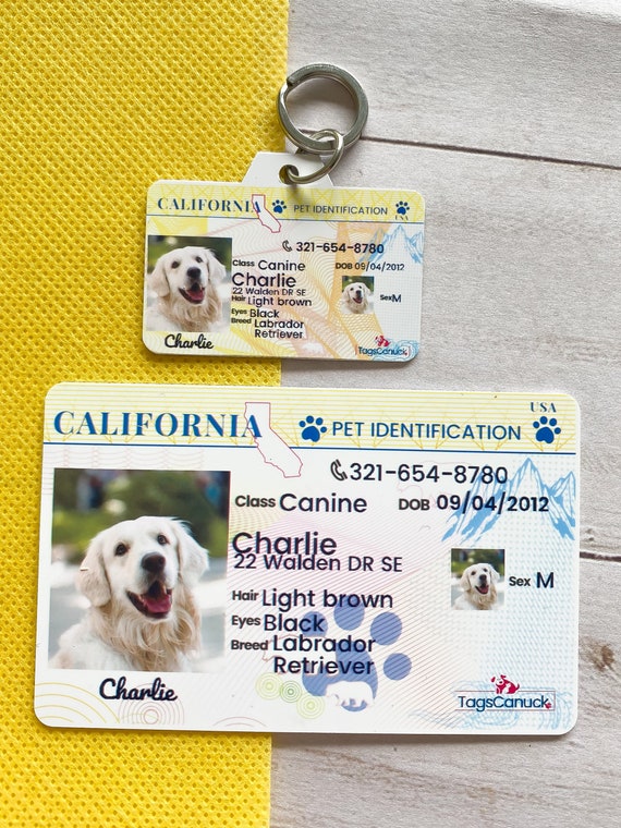 Do We Need A Dog Licence In The Uk