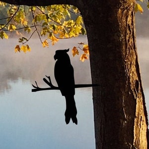 Parrot | Metal Bird / Metal Birds on a Branch / Metal Decoration for your Yard, Garden or Tree