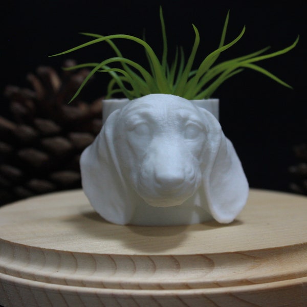 DACHSHUND Dog Mini Planter - Air Plants, Succulents and more - Home and Garden - 3D Printed