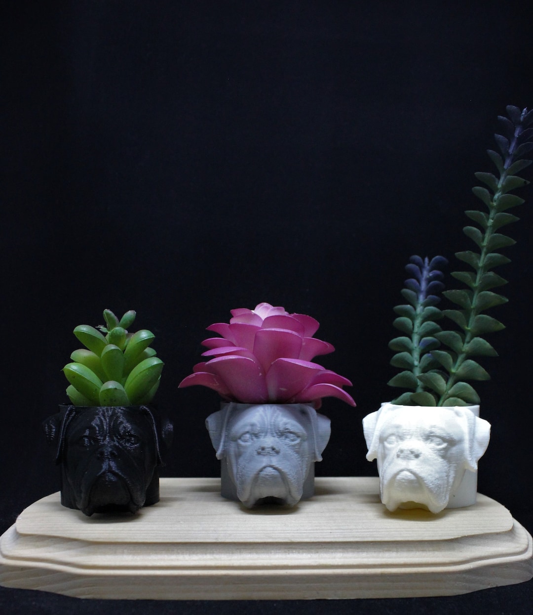 BOXER Dog Mini Planter Air Plants, Succulents and More Home and Garden