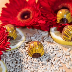 K&ouml;nnte beinhalten: Nahaufnahme von sonnenblumenf&ouml;rmigen Pralinen mit gelben Bl&uuml;tenbl&auml;ttern, die auf Sonnenblumenkernen liegen. Rote Gerbera und Zitronenscheiben erg&auml;nzen die Szene und erzeugen ein farbenfrohes Arrangement.