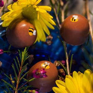 K&ouml;nnte beinhalten: Drei runde, braune Pralinen, verziert mit kleinen Bienenaufklebern, arrangiert mit gelben G&auml;nsebl&uuml;mchen und lila Bl&uuml;ten. Die Pralinen liegen auf einer blauen Oberfl&auml;che, was eine farbenfrohe Szene ergibt.