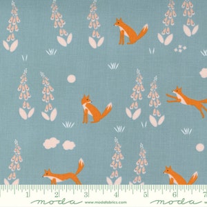 Meander from Moda and Aneela Hoey Foxes on Aqua