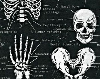 Skeleton fabric, bone fabric, Glow in the Dark Realistic Bones from Timeless Treasures