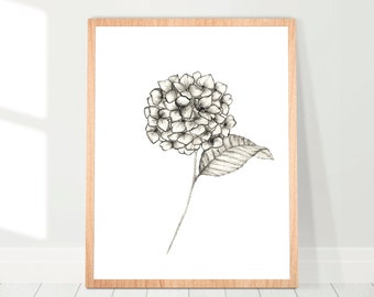 Beautiful hand-drawn hydrangea poster, pencil drawing, wall art, wall decor, home decor, poster art, interior design