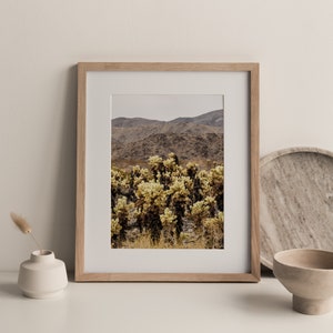 Joshua Tree National Park, Cholla Cactus Garden, California Fine Art Photo Print Giclée / Poster imagem 4