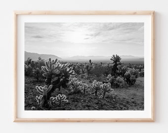 Joshua Tree National Park Photo: Black and White Cactus Art