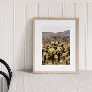 Joshua Tree National Park, Cholla Cactus Garden, California Fine Art Photo Print Giclée / Poster imagem 2